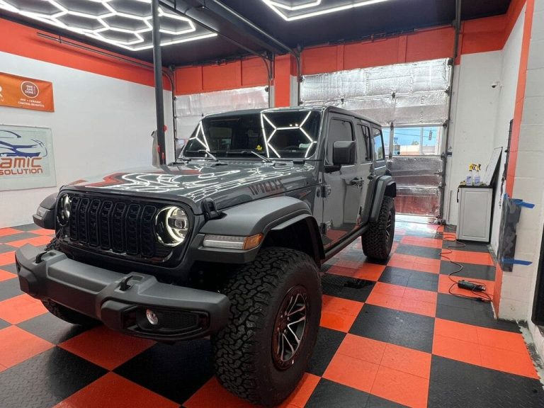 paint protection