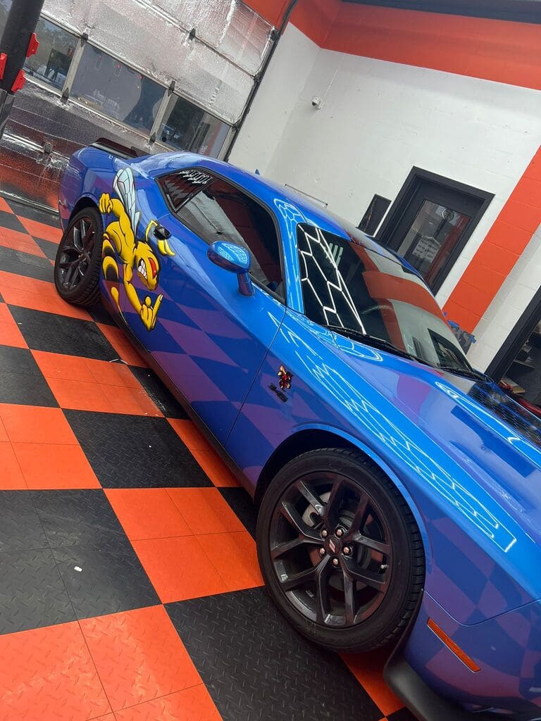 paint protection