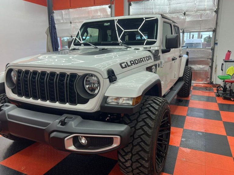 paint protection